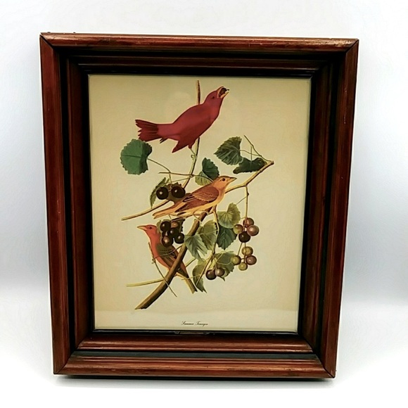 🌹HP! Antique Walnut Frame with Audubon Tanager Print - Picture 9 of 9